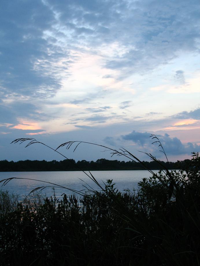 Photography by jersalv1 for DesignCrowd (Community Contests) | Design #9041793