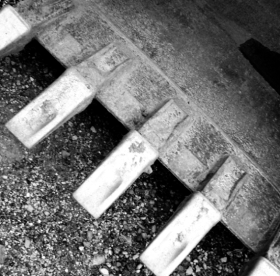 Photography by Tim516 for DesignCrowd (Community Contests) | Design #9028419
