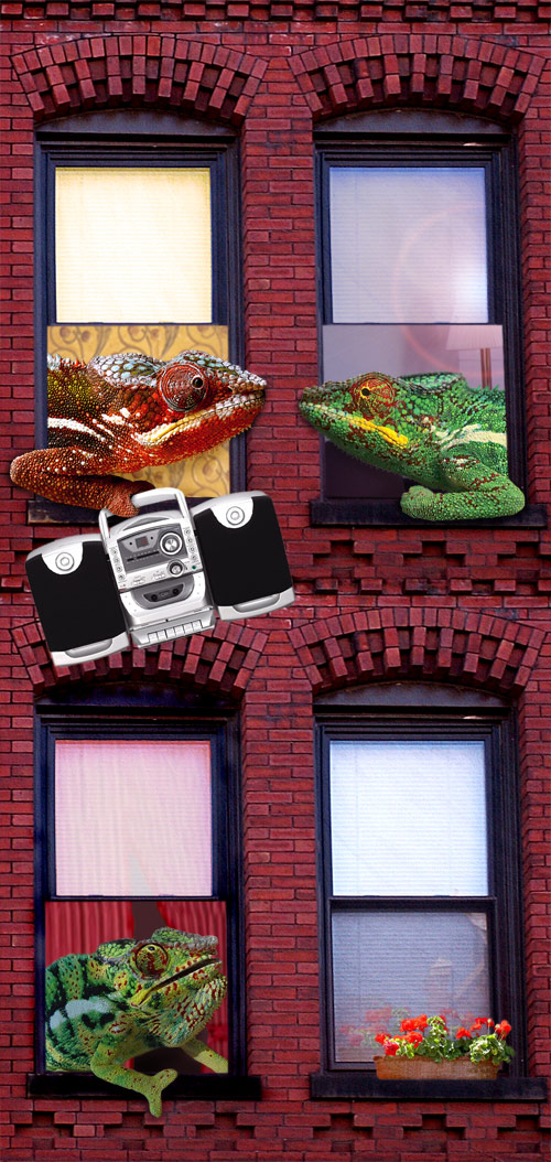 Photoshop Design by claudia__ for DesignCrowd (Community Contests) | Design #9037920