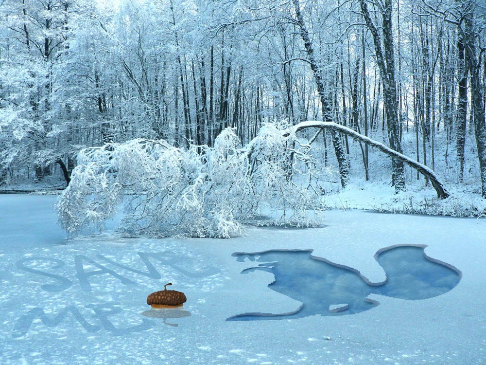 Photoshop Design by Citania for DesignCrowd (Community Contests) | Design #9042100