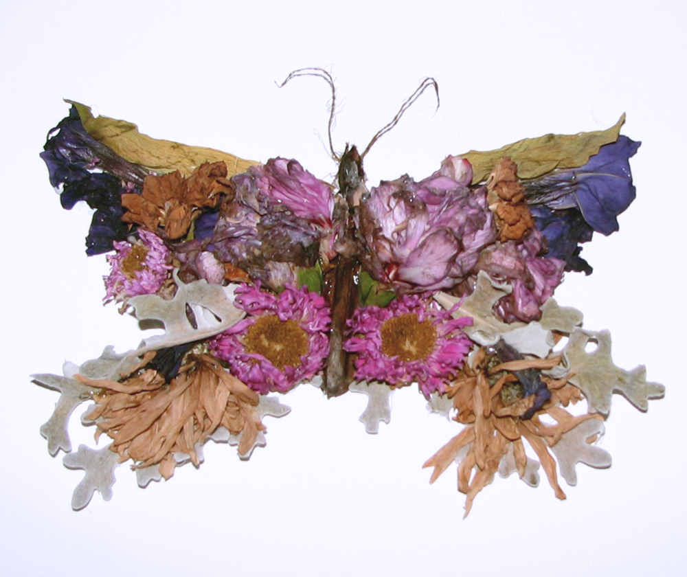 Photography by kathnh for DesignCrowd (Community Contests) | Design #9040179