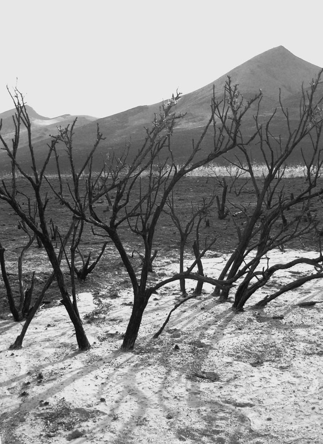 Photography by snow_angel305 for DesignCrowd (Community Contests) | Design #9040258