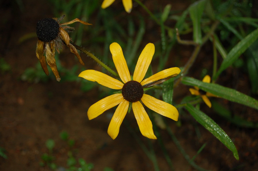 Photography by u2one1 for DesignCrowd (Community Contests) | Design #9040252