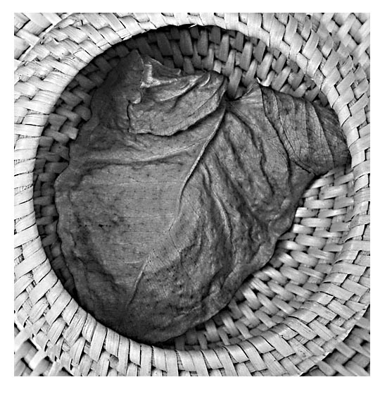 Photography by evsynator for DesignCrowd (Community Contests) | Design #9040205