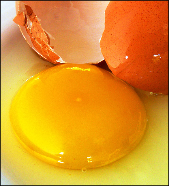 Fotografie von droomluiperd für DesignCrowd (Community Contests) | Design #9028424