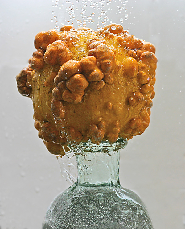 Fotografía por josulop para DesignCrowd (Community Contests) | Diseño #9028426