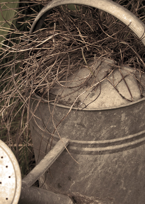 Photography by MilleDju for DesignCrowd (Community Contests) | Design #9040302