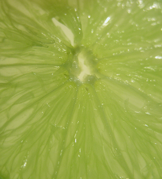 Fotografie von georgethedog für DesignCrowd (Community Contests) | Design #9041760