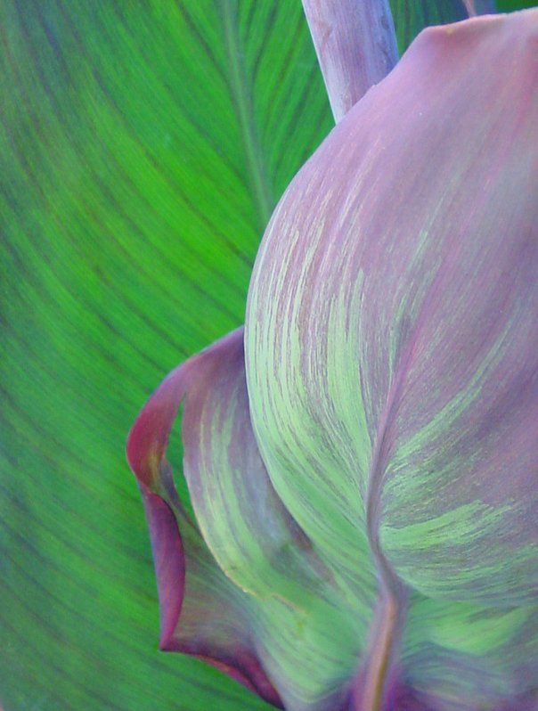 Photography by Keyivory for DesignCrowd (Community Contests) | Design #9041803