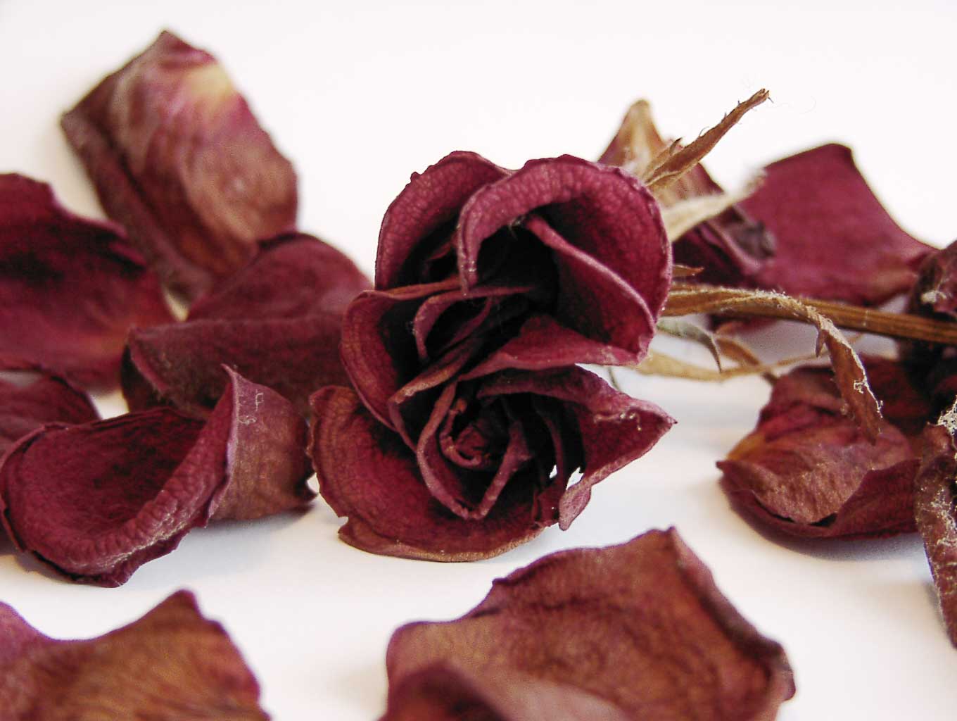 Fotografía por Pepito7 para DesignCrowd (Community Contests) | Diseño #9040350