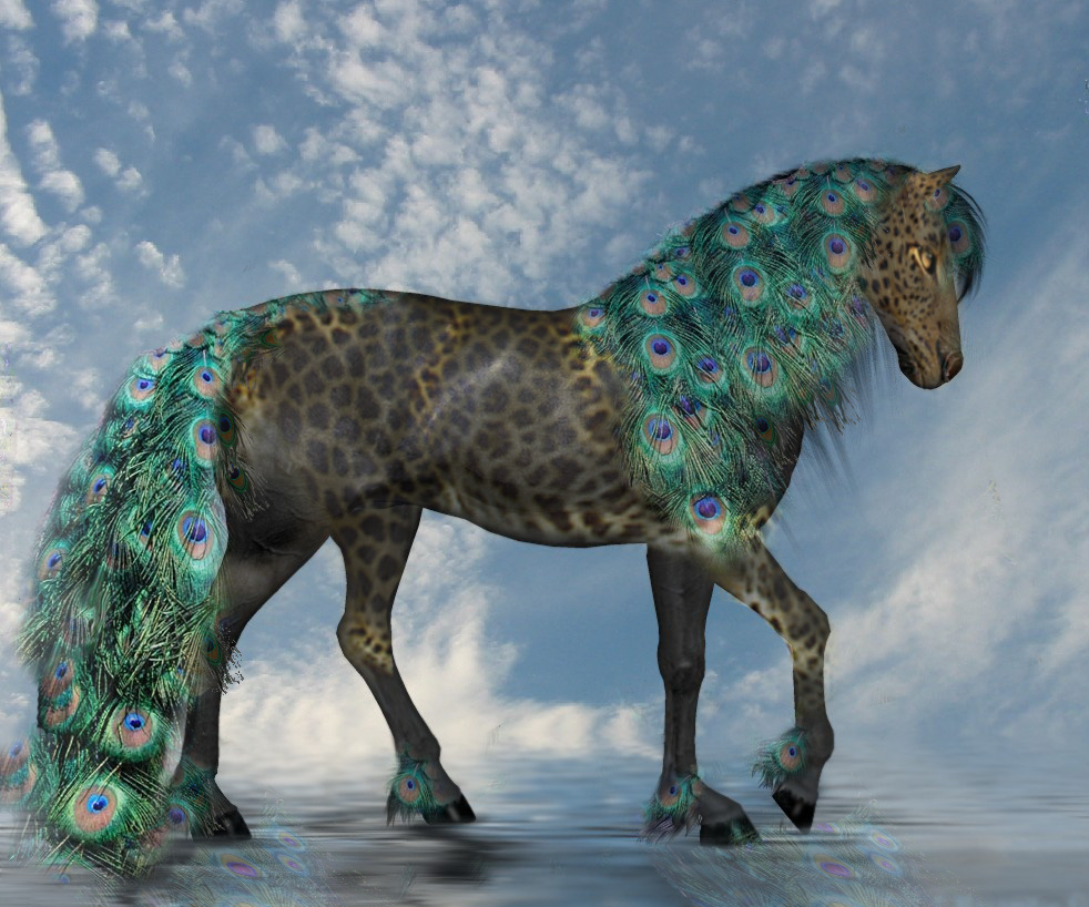 Diseño de Photoshop por jmcgregor para DesignCrowd (Community Contests) | Diseño #9030600