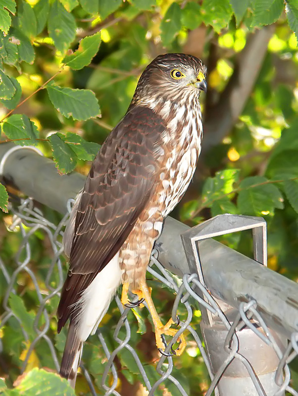 Photography by binkyat3 for DesignCrowd (Community Contests) | Design #9028162