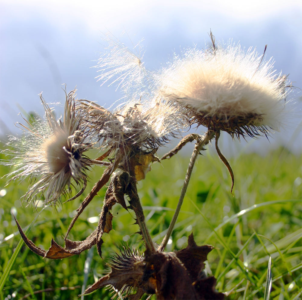 Photography by DurhamTyke for DesignCrowd (Community Contests) | Design #9040322