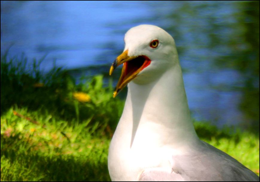 Photography by DoubleDizzle for DesignCrowd (Community Contests) | Design #9028171