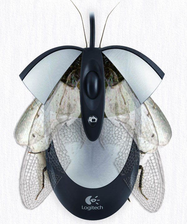 Diseño de Photoshop por groganought para DesignCrowd (Community Contests) | Diseño #9030439