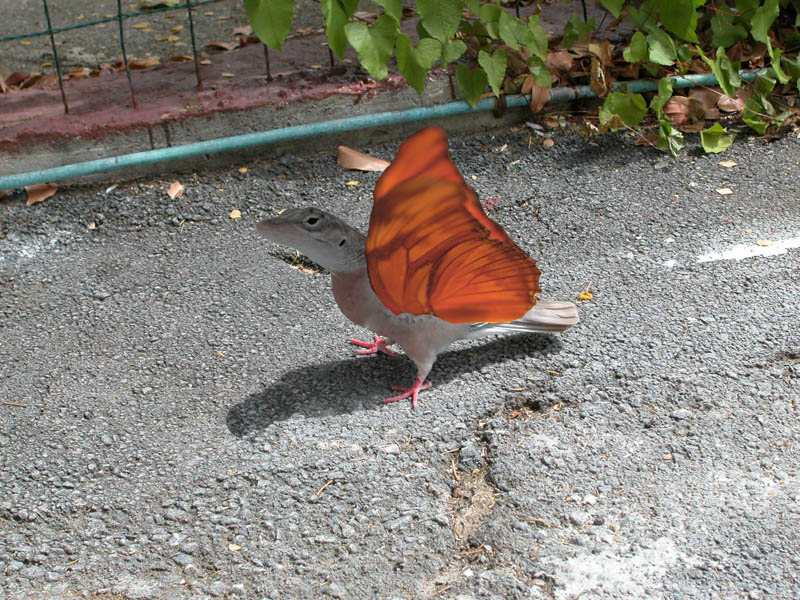 Diseño de Photoshop por dirk81 para DesignCrowd (Community Contests) | Diseño #9030623