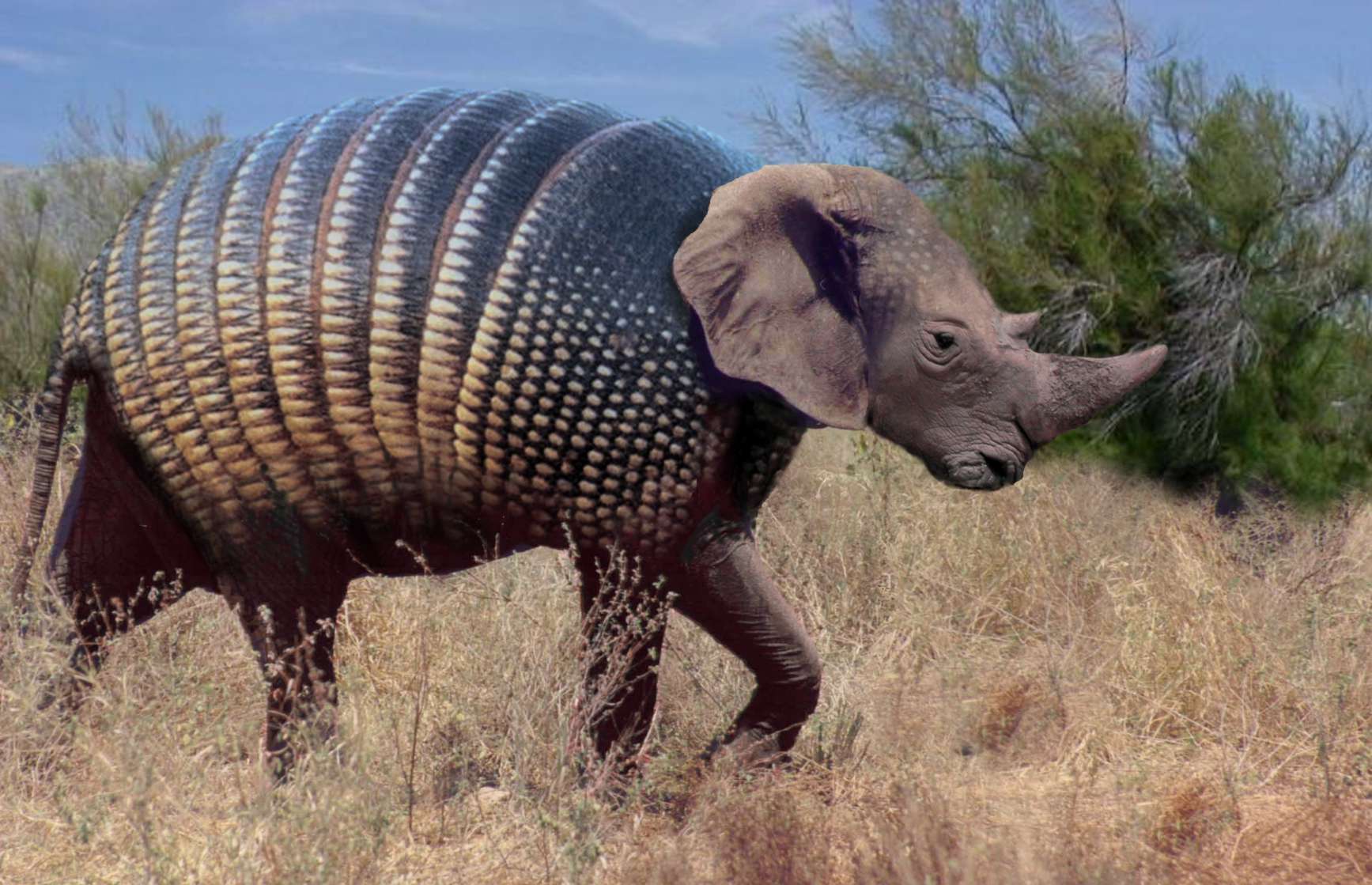 Diseño de Photoshop por Louweasel para DesignCrowd (Community Contests) | Diseño #9030639