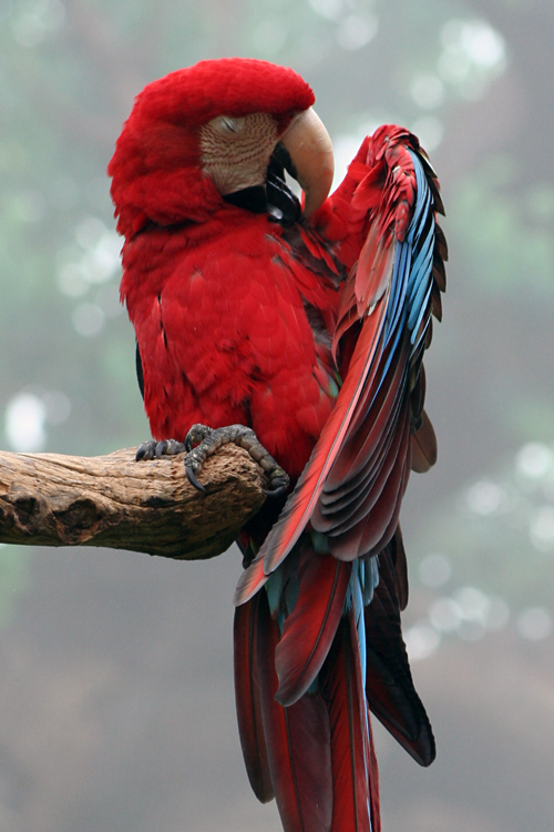 Photography by lilhorseebabee for DesignCrowd (Community Contests) | Design #9028276