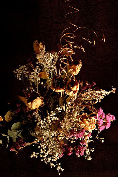 Fotografía por FireDragon101 para DesignCrowd (Community Contests) | Diseño #9040286