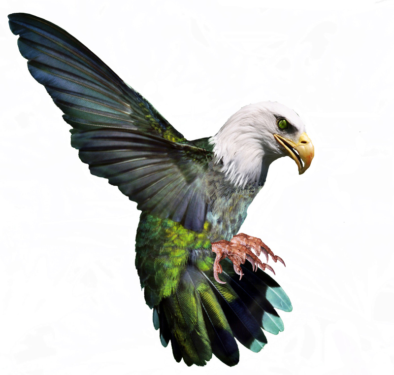 Photoshop Design by dfwsusan for DesignCrowd (Community Contests) | Design #9030720