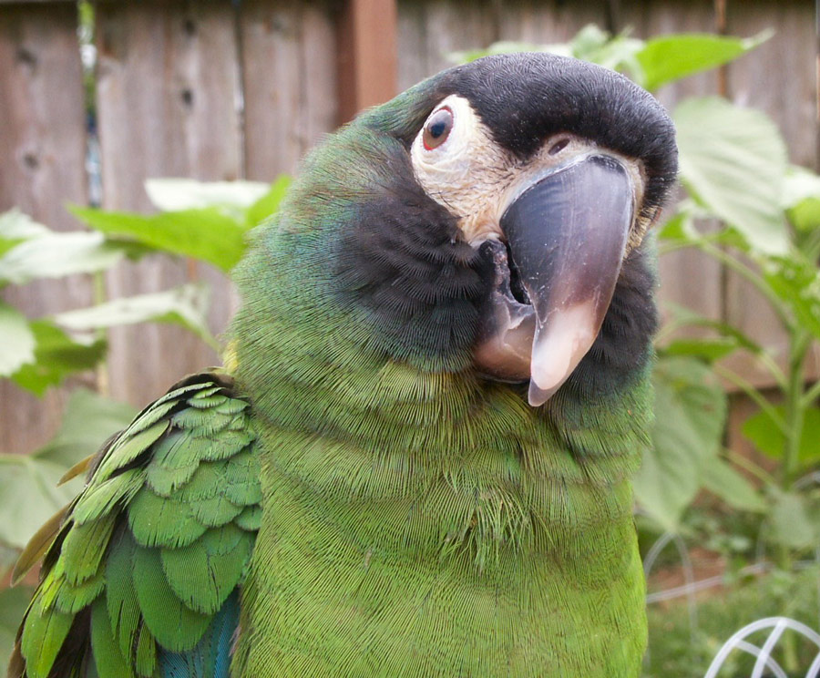 Photography by alwaysbeencreative for DesignCrowd (Community Contests) | Design #9028310