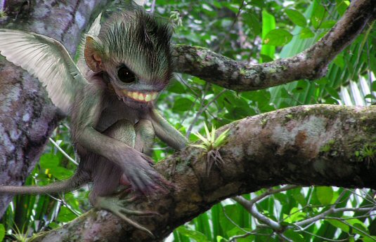 Photoshop Design by adrianagriffin for DesignCrowd (Community Contests) | Design #9030680