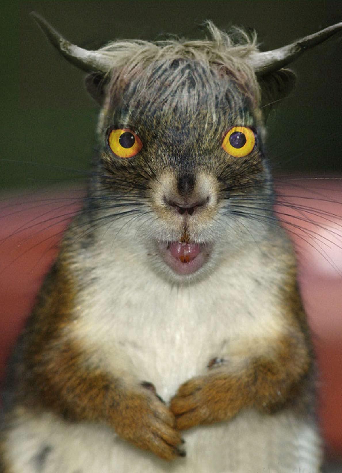 Diseño de Photoshop por zynnya para DesignCrowd (Community Contests) | Diseño #9030697