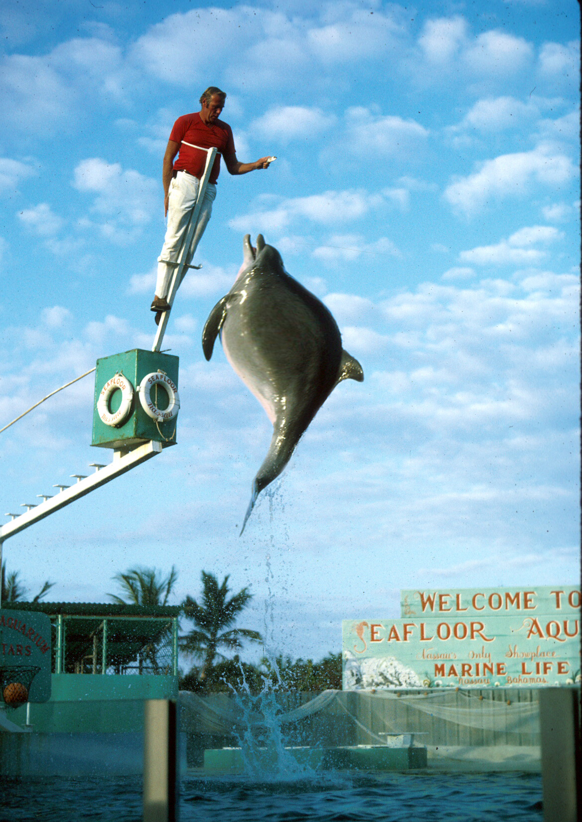 Photoshop Design by NthN for DesignCrowd (Community Contests) | Design #9039576