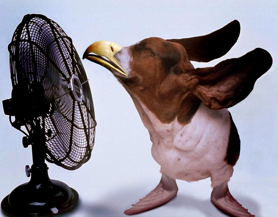 Photoshop-Design von Kekemes für DesignCrowd (Community Contests) | Design #9030669