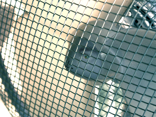 Photoshop-Design von resquin für DesignCrowd (Community Contests) | Design #9030484