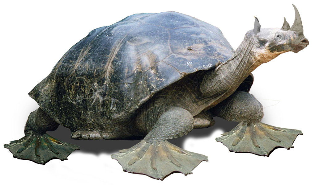 Photoshop Design by shlumiel for DesignCrowd (Community Contests) | Design #9030713