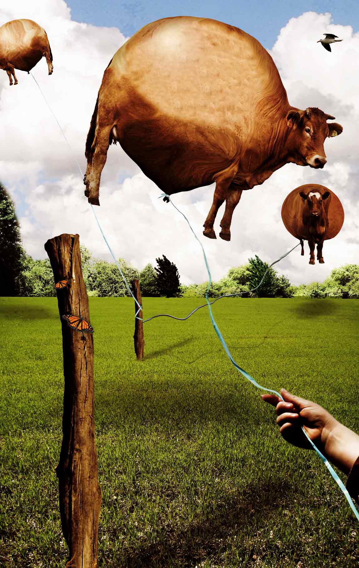 Photoshop Design by LemmyRocks for DesignCrowd (Community Contests) | Design #9039583