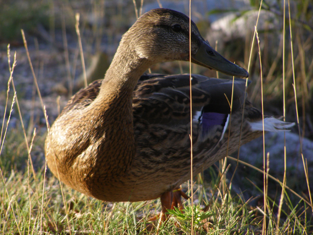 Photography by Tool47 for DesignCrowd (Community Contests) | Design #9034526