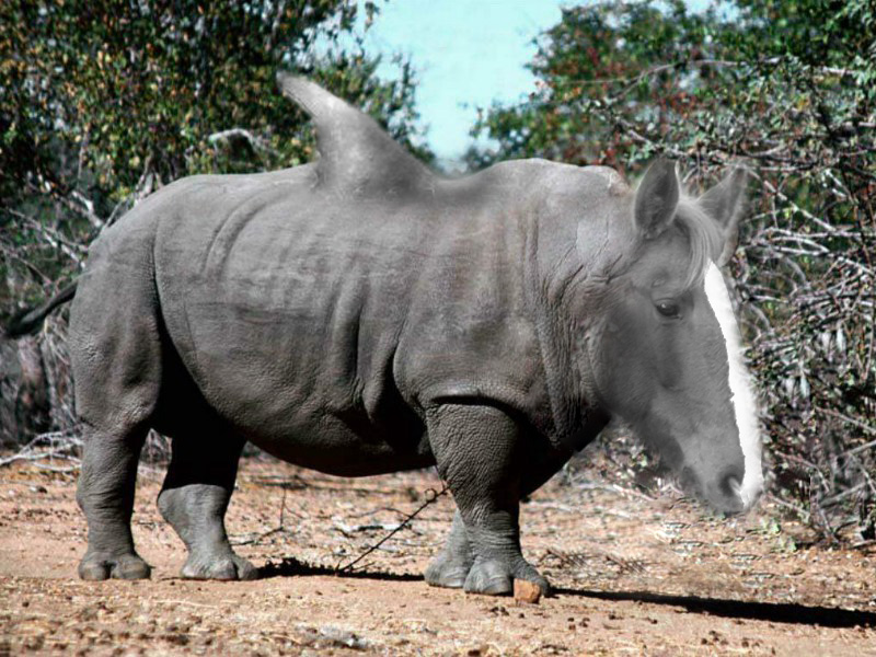 Photoshop Design by greenpuppet for DesignCrowd (Community Contests) | Design #9030852