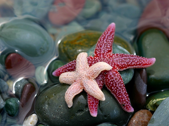 Photography by KarenC for DesignCrowd (Community Contests) | Design #9028455