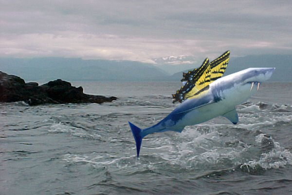 Photoshop Design by Valerie91 for DesignCrowd (Community Contests) | Design #9030969