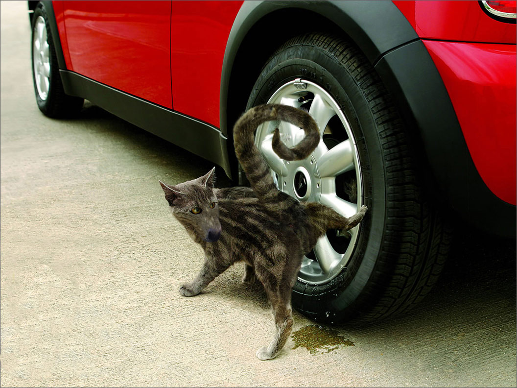 Diseño de Photoshop por tq6643 para DesignCrowd (Community Contests) | Diseño #9030925