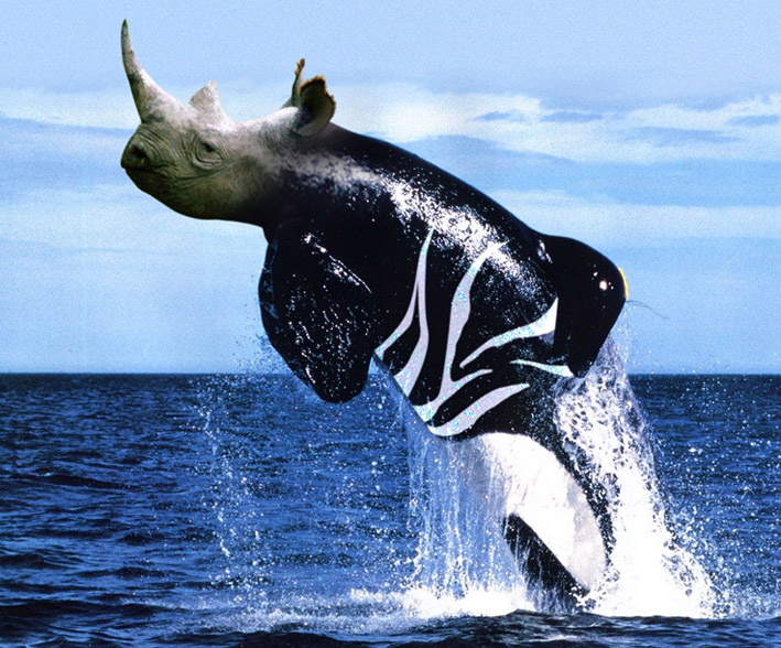 Diseño de Photoshop por GTAPEX para DesignCrowd (Community Contests) | Diseño #9030812