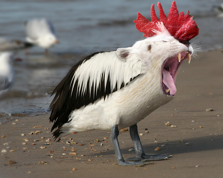 Diseño de Photoshop por MasterGnu para DesignCrowd (Community Contests) | Diseño #9030769