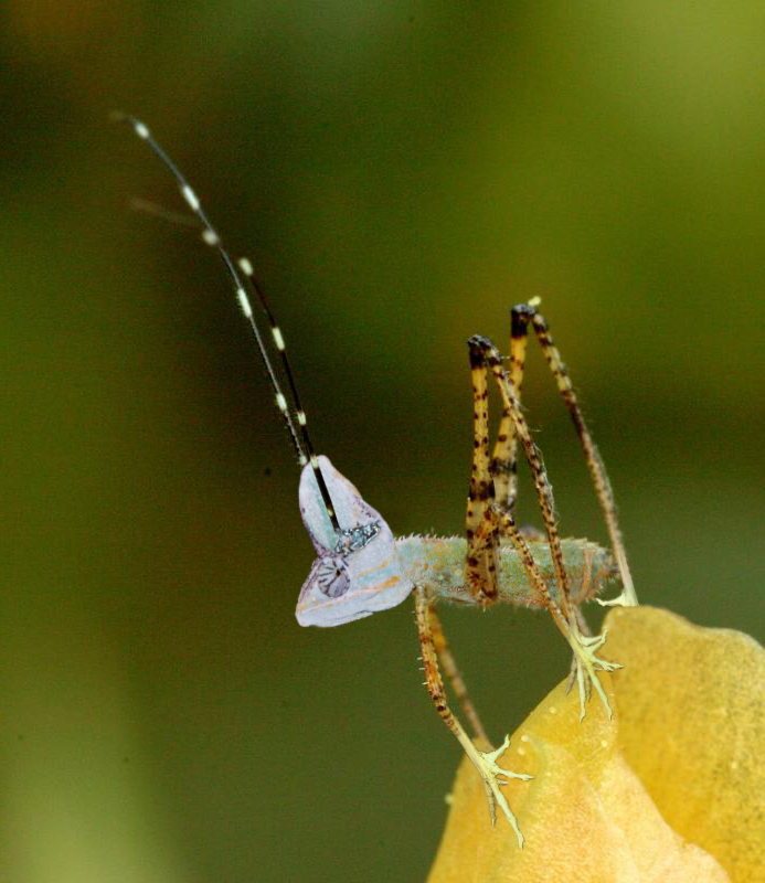 Photoshop Design by BrightonCub for DesignCrowd (Community Contests) | Design #9030928