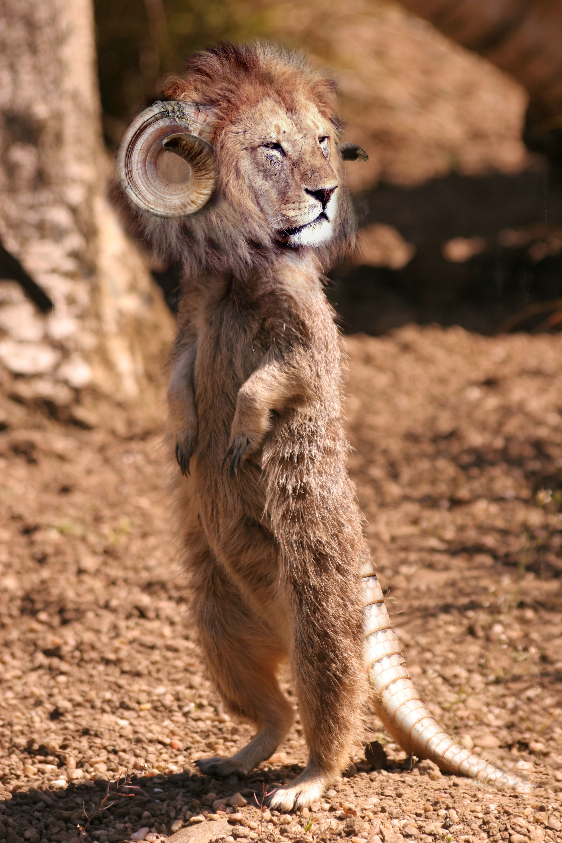 Photoshop Design by Spydergyrl for DesignCrowd (Community Contests) | Design #9030897