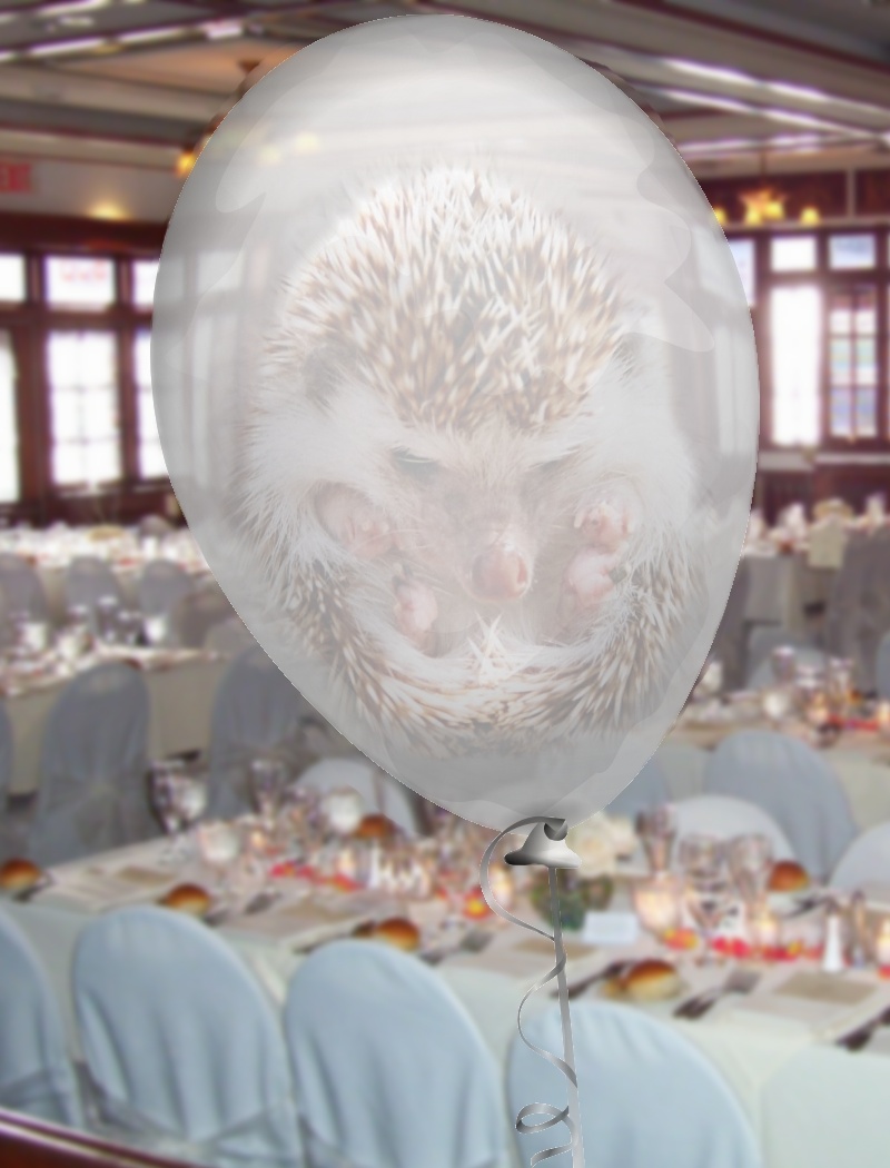 Diseño de Photoshop por Spudley99 para DesignCrowd (Community Contests) | Diseño #9039627