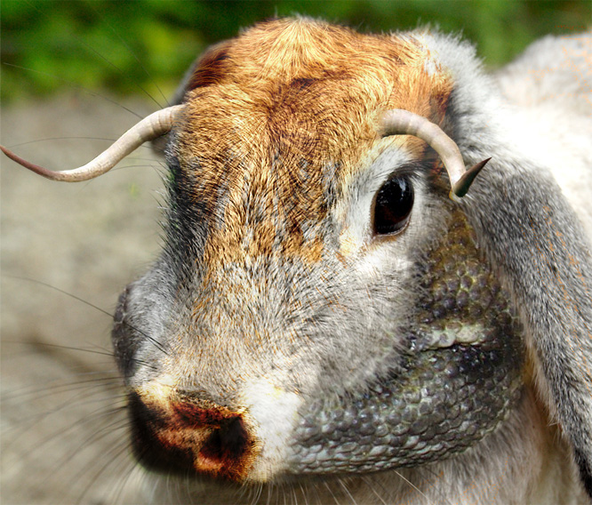 Photoshop-Design von helenavk für DesignCrowd (Community Contests) | Design #9030933