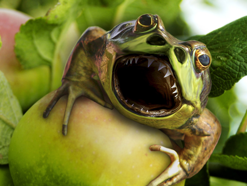 Photoshop Design by batthemadbat for DesignCrowd (Community Contests) | Design #9030950