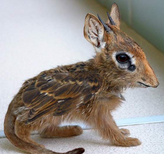 Photoshop-Design von Hobbit90 für DesignCrowd (Community Contests) | Design #9030882