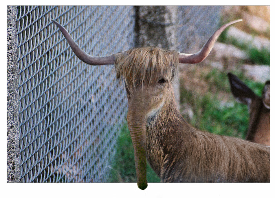 Diseño de Photoshop por Zalgren para DesignCrowd (Community Contests) | Diseño #9030981