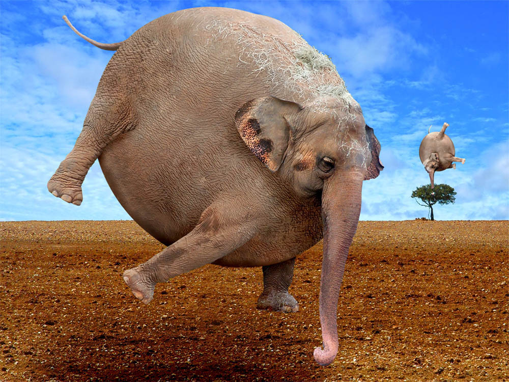 Design Photoshop par davidberettaowens pour DesignCrowd (Community Contests) | Design #9039705