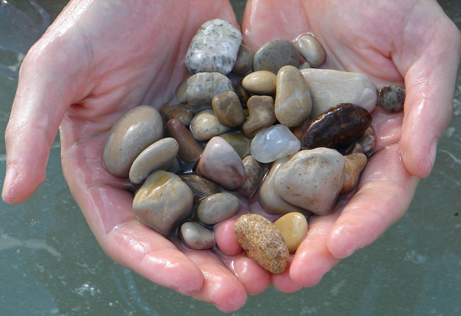 Photography by bigevil600 for DesignCrowd (Community Contests) | Design #9028556