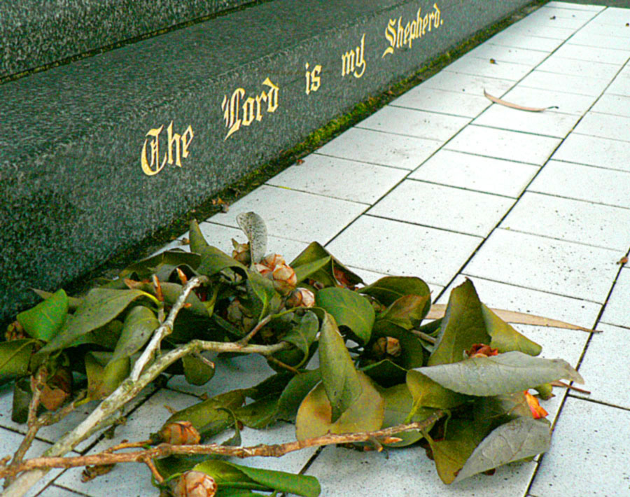 Photographie par gymp93 pour DesignCrowd (Community Contests) | Design #9040334