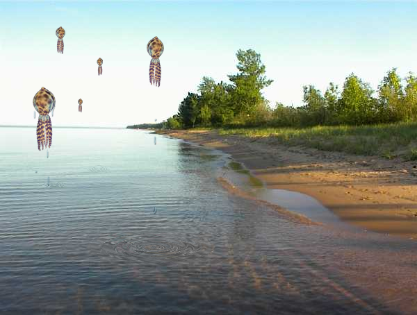 Photoshop Design by adrianrorheim for DesignCrowd (Community Contests) | Design #9039728